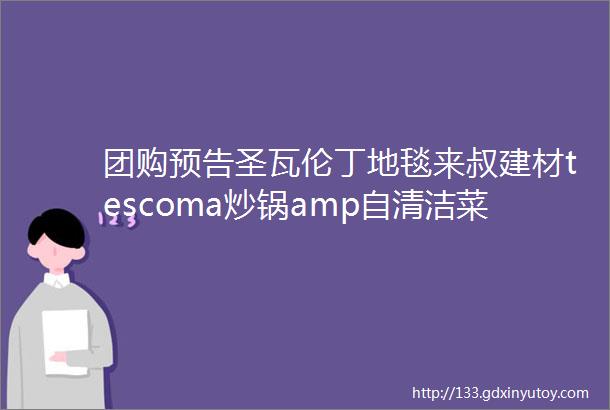 团购预告圣瓦伦丁地毯来叔建材tescoma炒锅amp自清洁菜板美珑美利菜刀马贝填缝剂自动感应洗手机向物除湿器